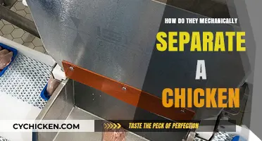 Mechanical Chicken Processing: The Step-by-Step Separation Method Explained