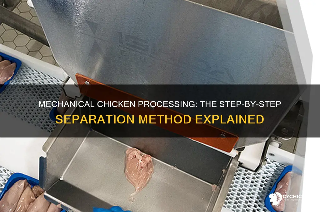 how do they mechanically separate a chicken