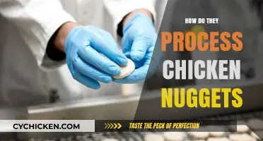 From Farm to Freezer: The Surprising Journey of Chicken Nuggets