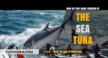 Chicken of the Sea Tuna: Farmed or Wild?