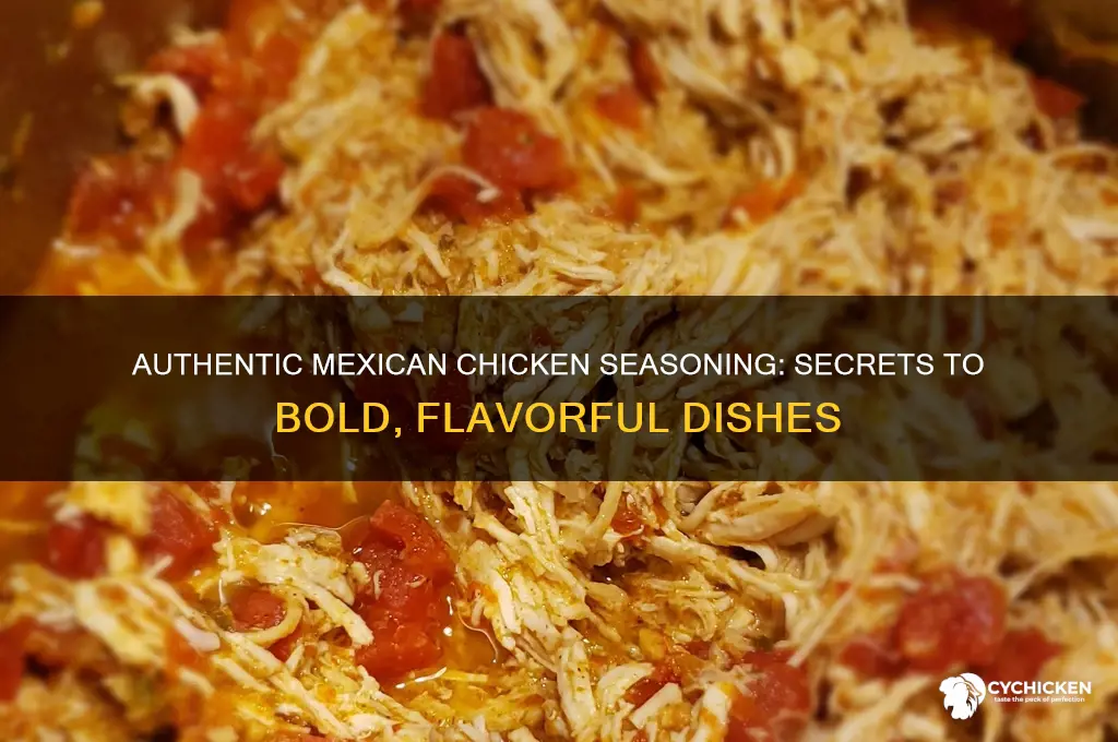 how do they season chicken at mexican style