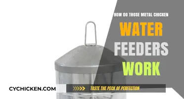 Understanding Metal Chicken Water Feeders: Mechanism and Functionality Explained