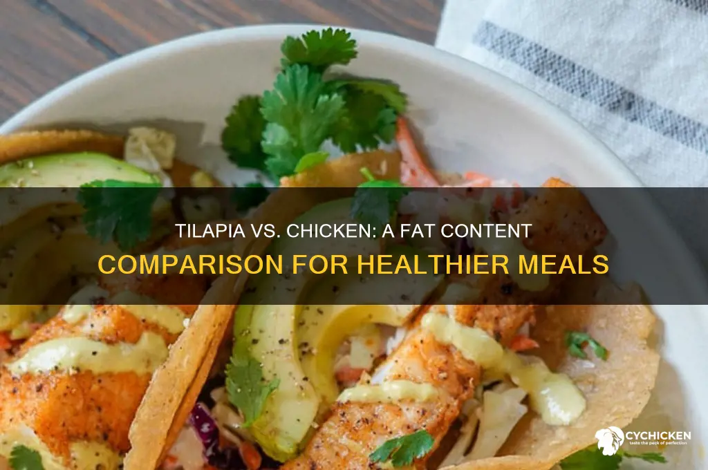 how do tilapia and chicken compare with fat