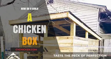 DIY Chicken Box: Simple Steps to Build a Cozy Coop