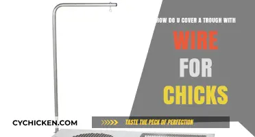 Protecting Chicks: Covering Troughs with Wire