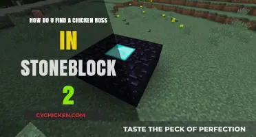 Finding Chicken Boss in Stoneblock 2: A Guide