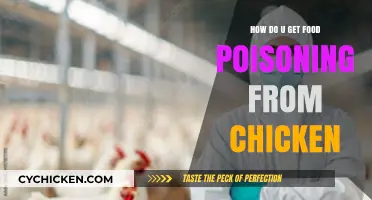 Avoiding Food Poisoning from Chicken: Safe Handling and Cooking Tips