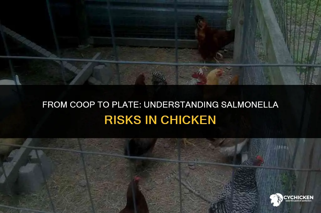 how do u get salmonella from chicken