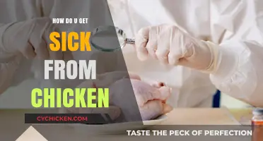 Understanding Foodborne Illness: Can You Get Sick from Chicken?