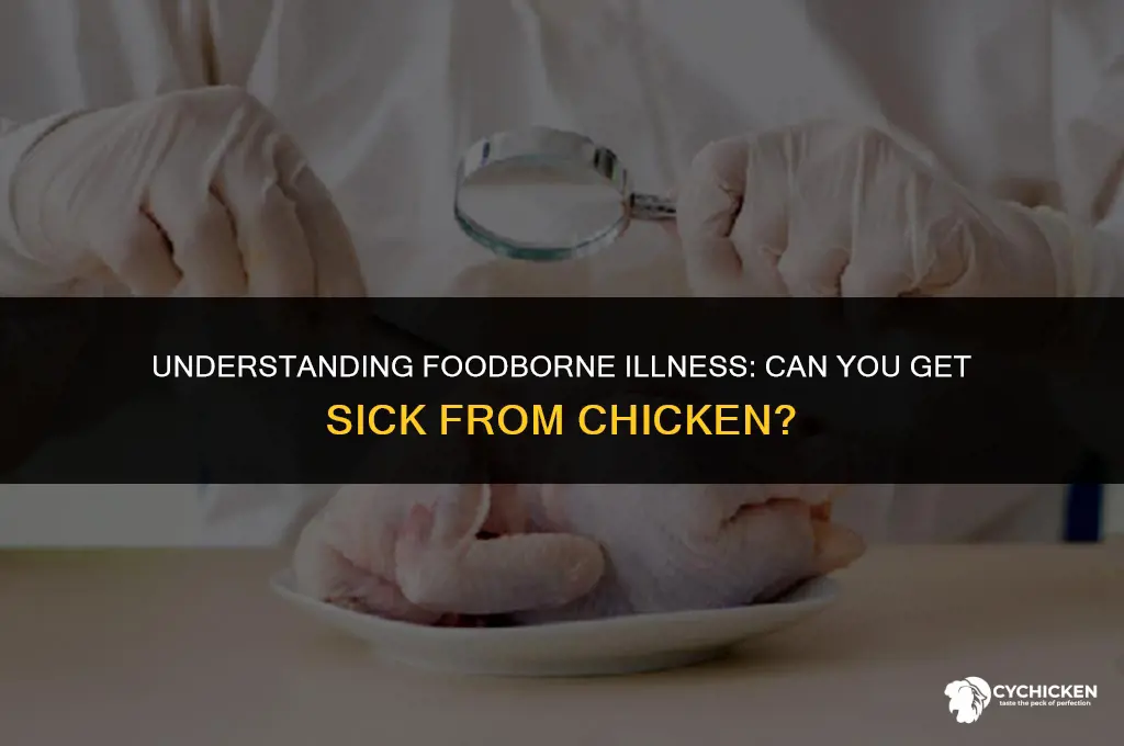 how do u get sick from chicken