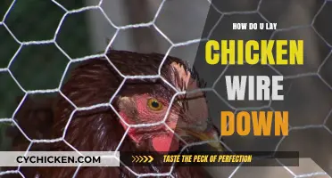 Laying Chicken Wire: A Step-by-Step Guide for Easy Installation