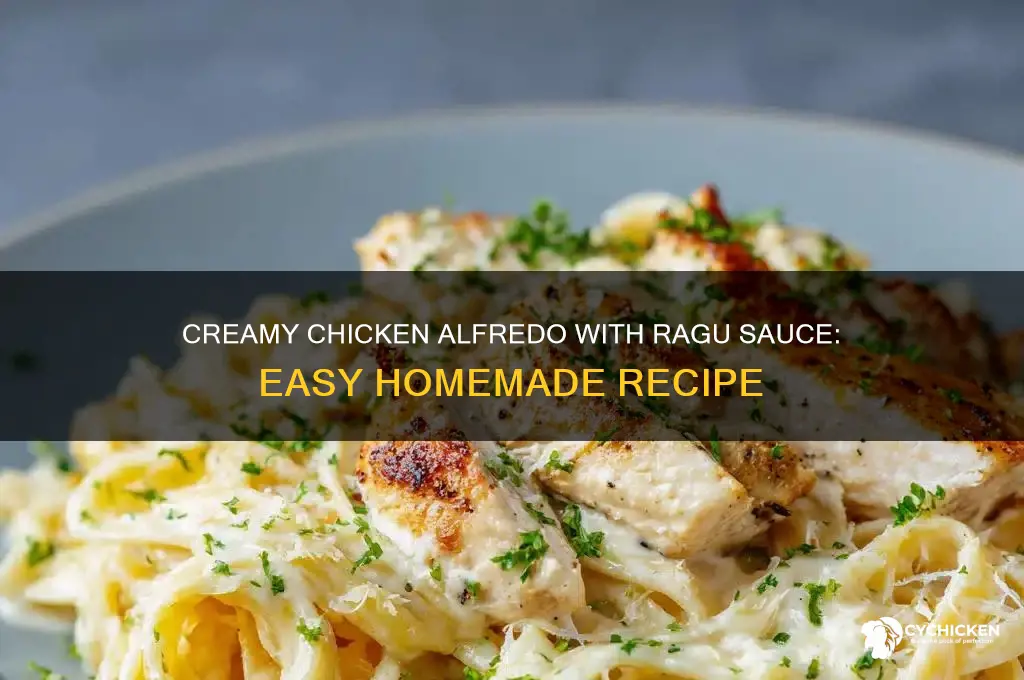 how do u make chicken alfredo with ragu sauce