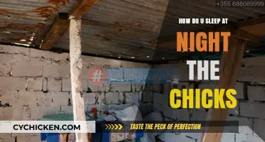 How Do You Sleep at Night Knowing the Chicks' Fate?