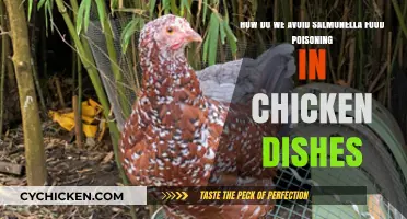 Preventing Salmonella: Safe Chicken Cooking and Handling