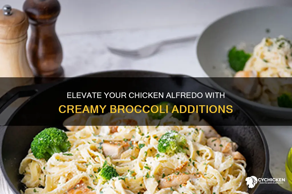 how do you add broccoli to chicken alfredo