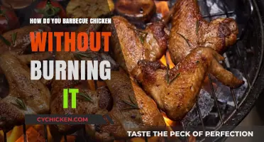 Mastering Perfectly Grilled Chicken: Tips to Avoid Burning on the BBQ