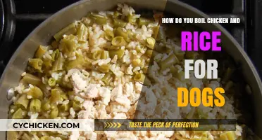 Simple Chicken and Rice Recipe for Dogs