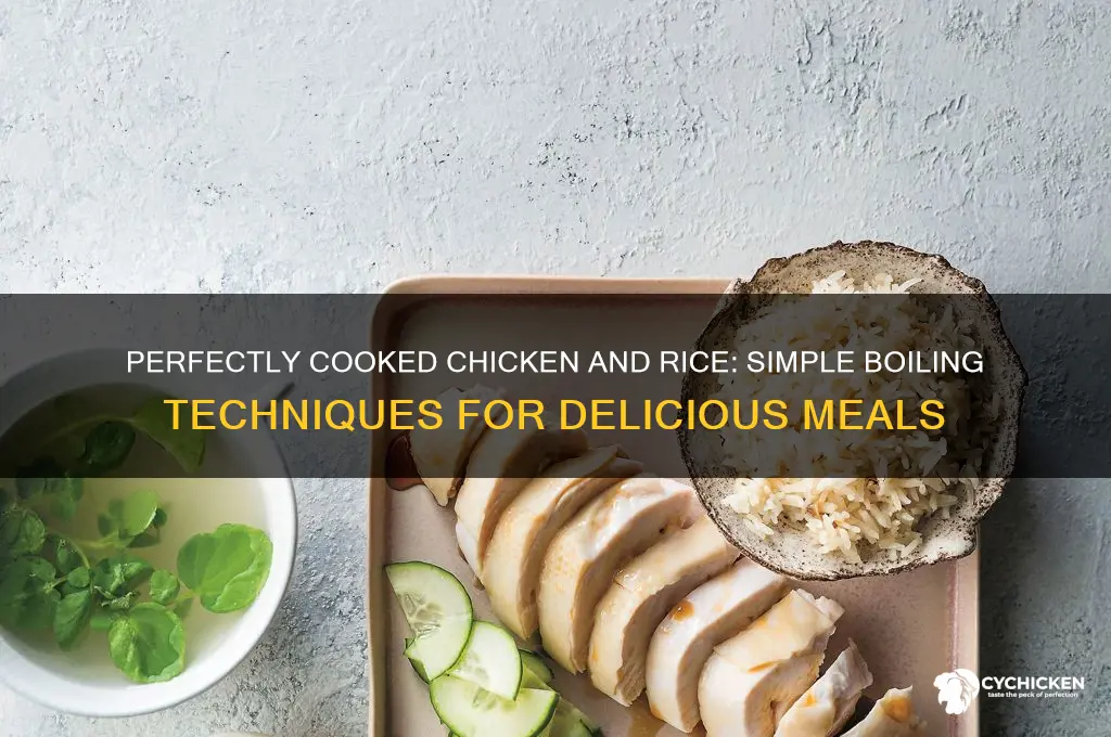 how do you boil chicken and rice
