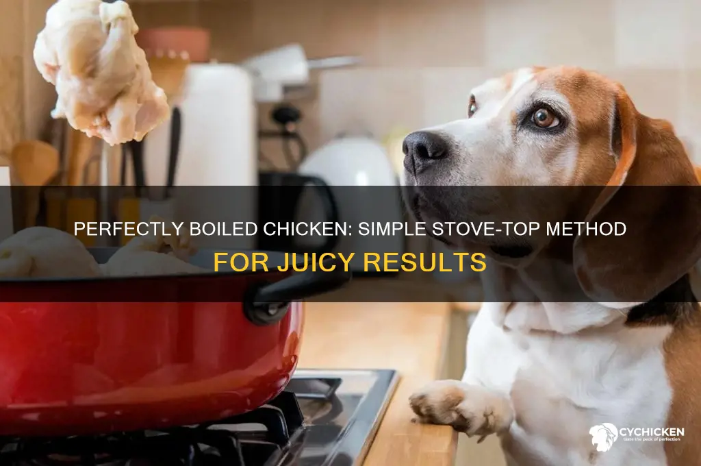 how do you boil chicken on the stove