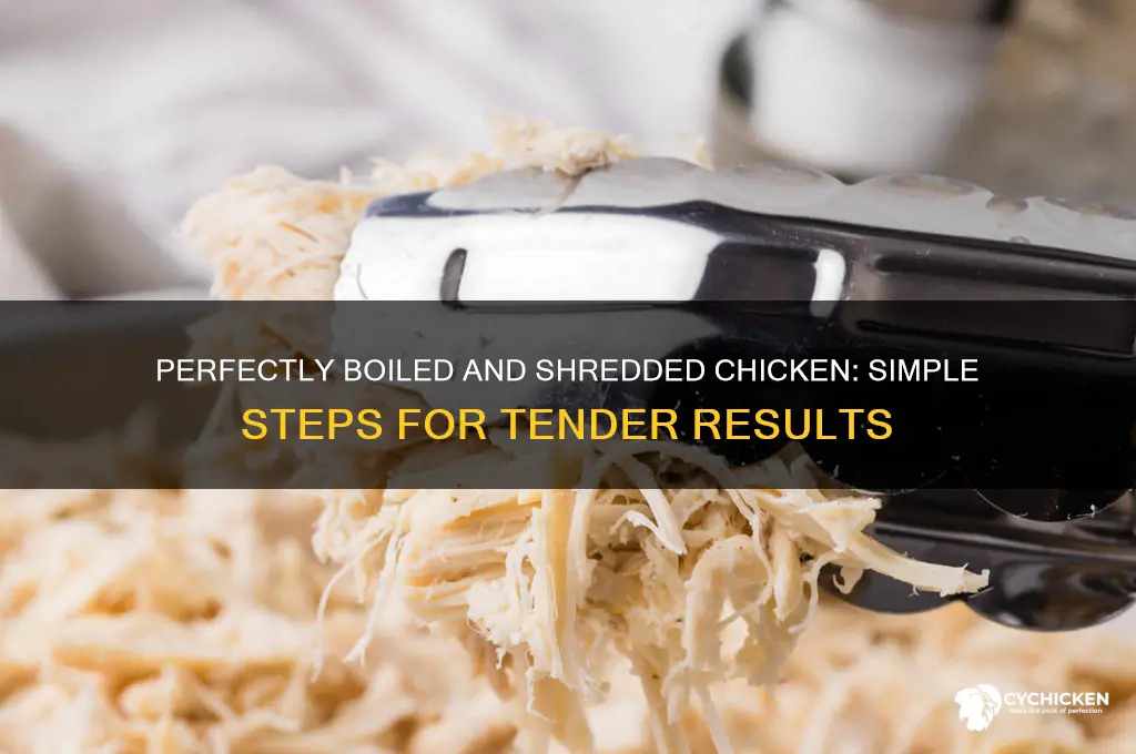 how do you boil chicken to shred it