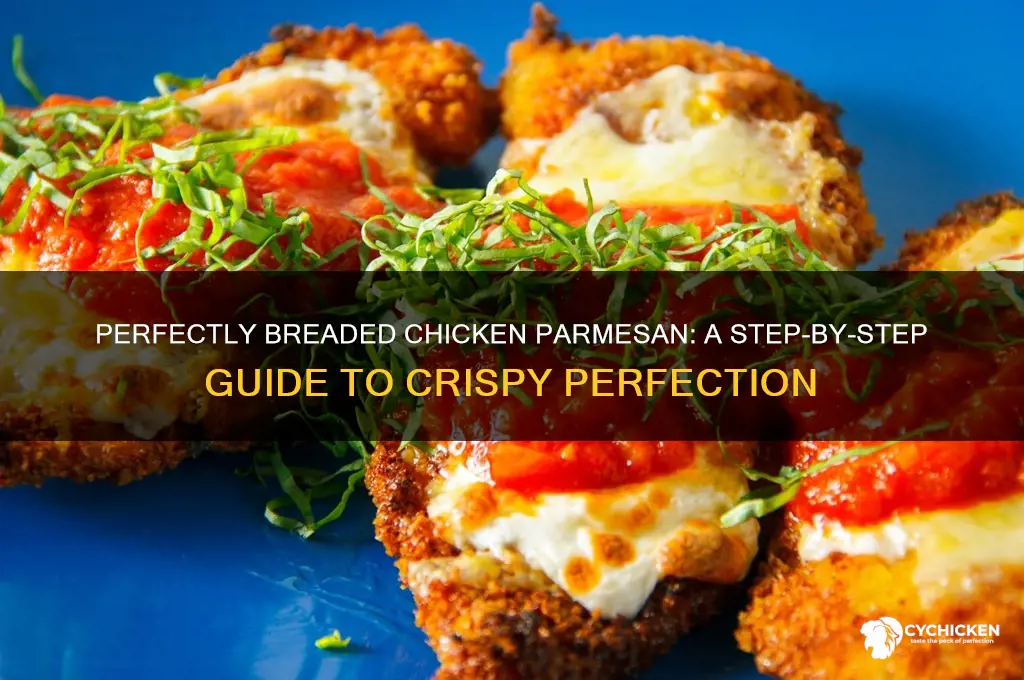 how do you bread chicken for chicken parmesan