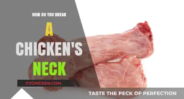 Quick and Humane Methods to Break a Chicken's Neck Safely