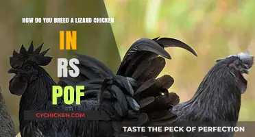Breeding a Lizard Chicken in RuneScape: A Guide