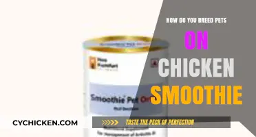 Breeding Pets on Chicken Smoothie: A Step-by-Step Guide for Beginners
