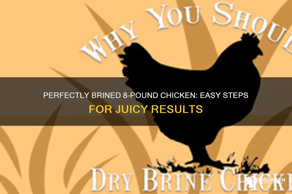 how do you brine an 8 pound chicken