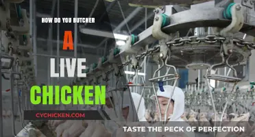 Step-by-Step Guide to Humanely Butchering Live Chickens at Home