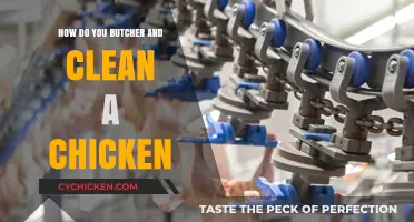 Mastering Chicken Butchery: Step-by-Step Guide to Cleaning and Preparing Poultry