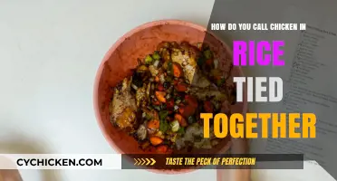 Chicken and Rice: A Delicious Duo