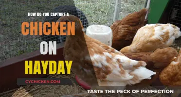 Mastering Chicken Capture: Hay Day Tips and Tricks Revealed