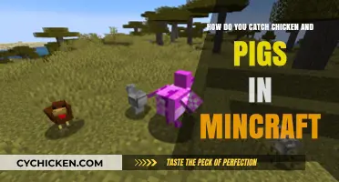 Catching Chickens and Pigs in Minecraft: A Guide