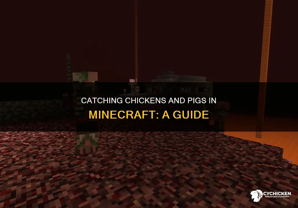 how do you catch chicken and pigs in mincraft