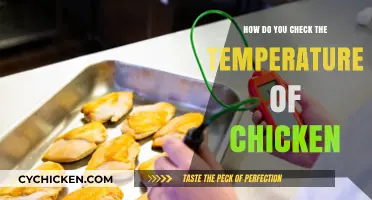 Mastering Chicken Temperature: Foolproof Methods to Ensure Perfectly Cooked Poultry