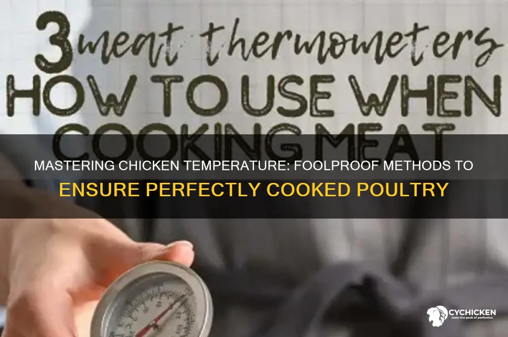 how do you check the temperature of chicken