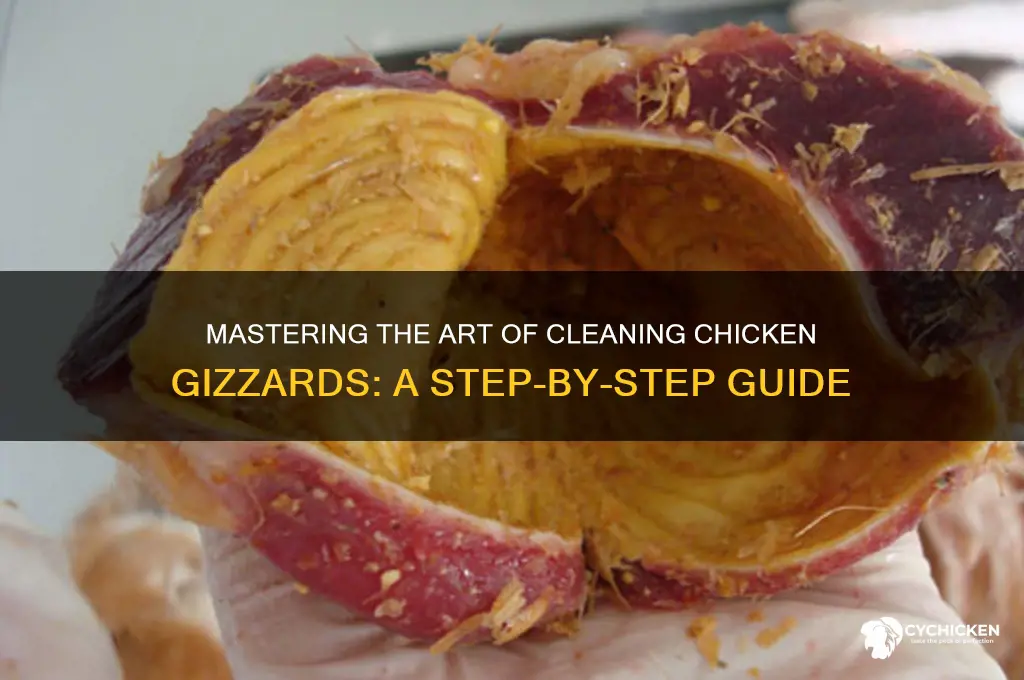 how do you clean a chicken gizzard