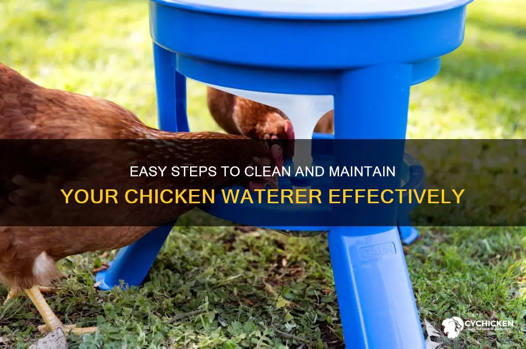 how do you clean a chicken waterer