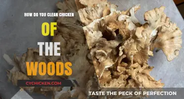 Cleaning Chicken of the Woods: A Step-by-Step Guide to Safe Preparation