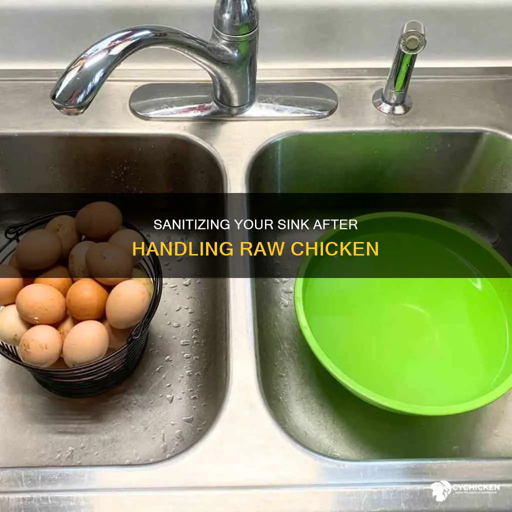 how do you clean the sink after raw chicken