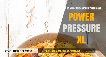 Perfectly Cooked Chicken Thighs in Your Power Pressure XL