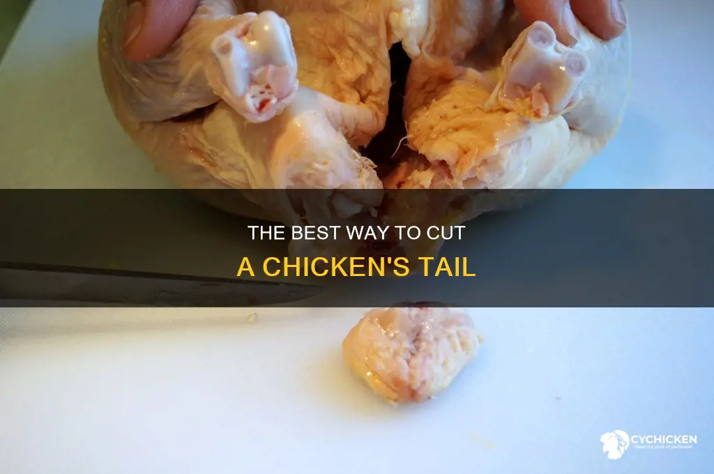 how do you cut the tail out of a chicken