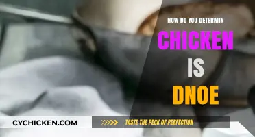 Perfectly Cooked Chicken: Signs It’s Done and Ready to Serve
