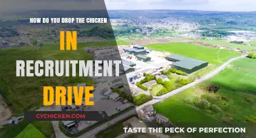 Strategies to Avoid Recruitment Drive Chicken Drop