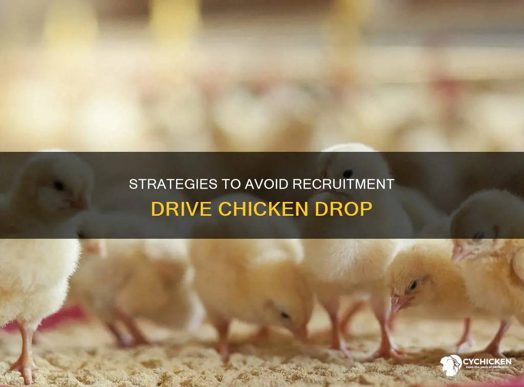 how do you drop the chicken in recruitment drive