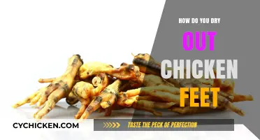 Mastering the Art of Drying Chicken Feet: A Step-by-Step Guide