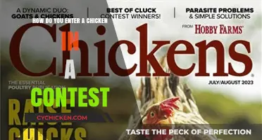 Strategies for Entering Your Chicken in a Contest