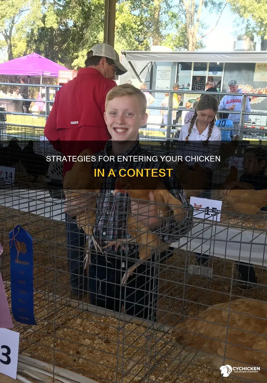 how do you enter a chicken in a contest