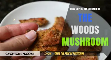 Chicken of the Woods: A Forager's Guide to Preparation
